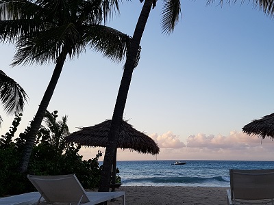 View from the terrace.